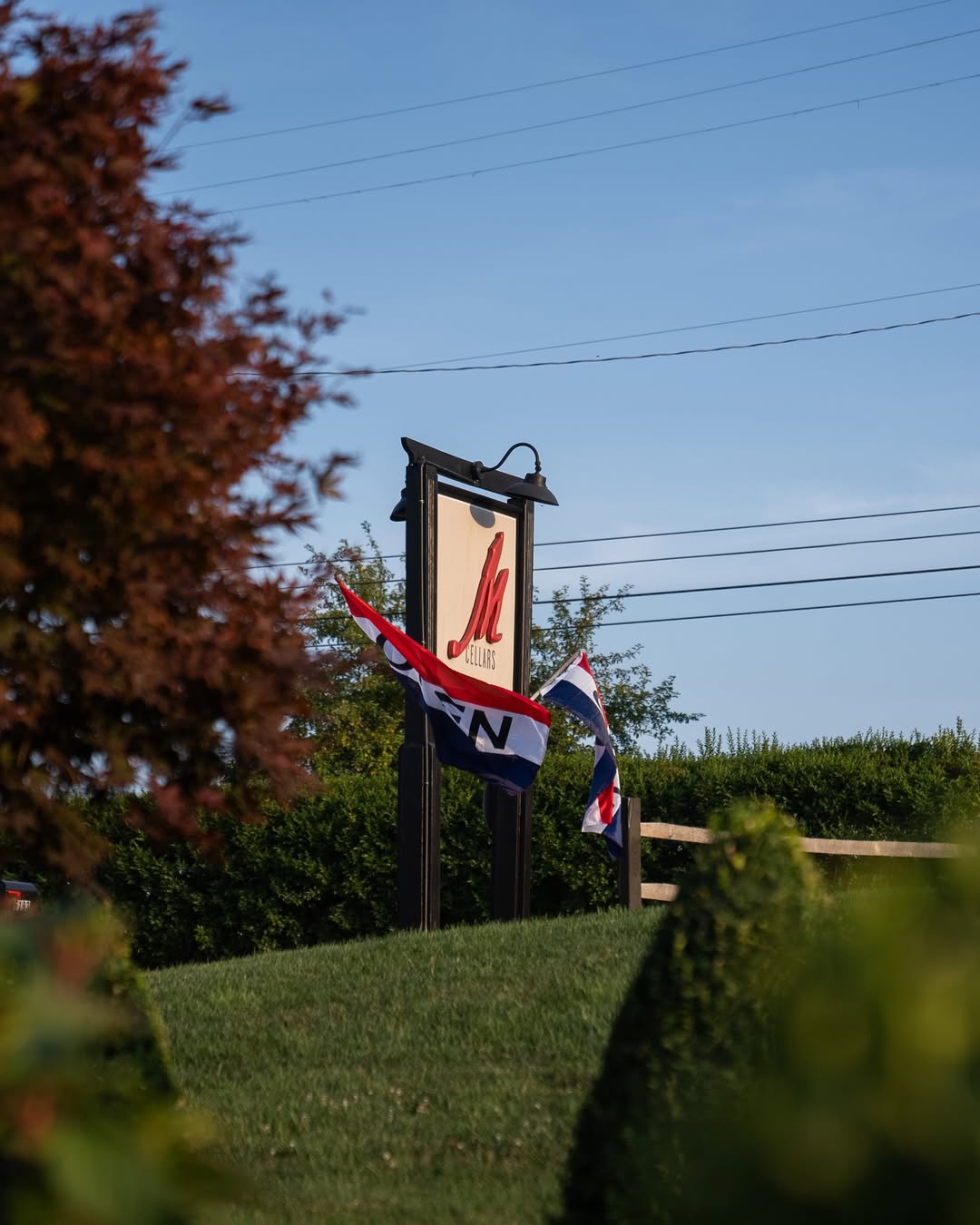 M Cellars
